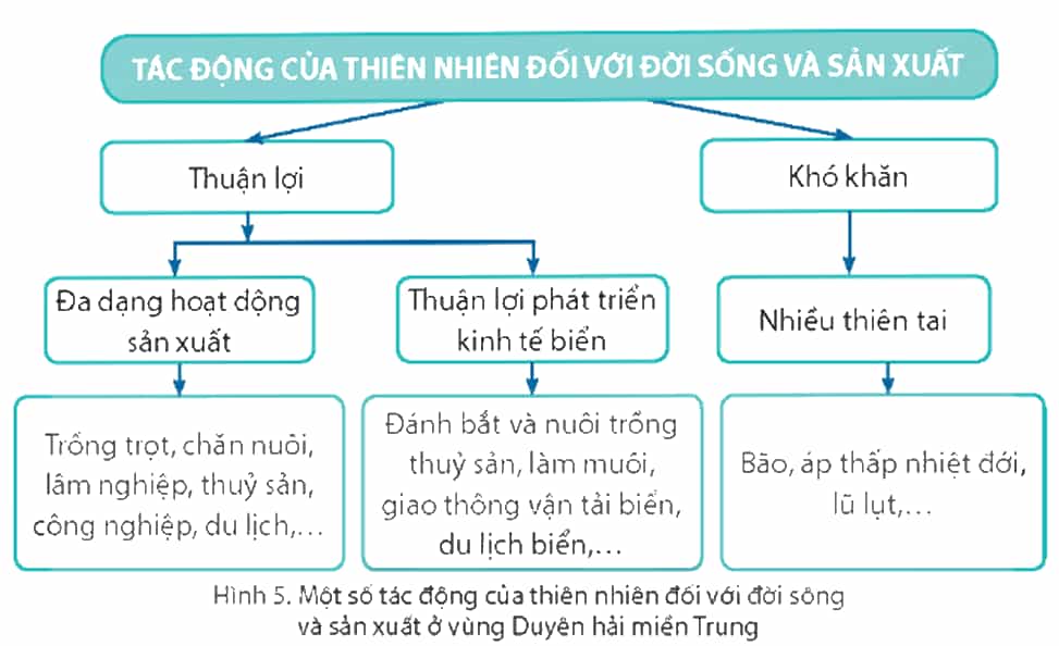 Vở bài tập Lịch Sử và Địa Lí lớp 4 Chân trời sáng tạo Bài 14: Thiên nhiên vùng duyên hải miền Trung