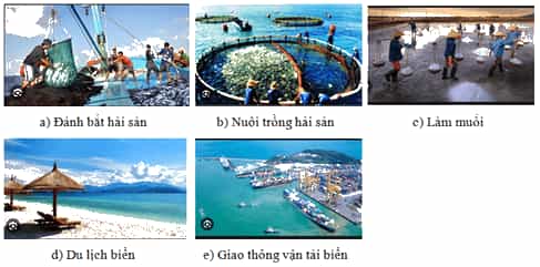 Vở bài tập Lịch Sử và Địa Lí lớp 4 Chân trời sáng tạo Bài 15: Dân cư và hoạt động sản xuất ở vùng duyên hải miền Trung
