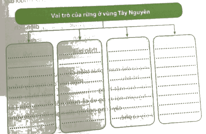 Vở bài tập Lịch Sử và Địa Lí lớp 4 Chân trời sáng tạo Bài 19: Thiên nhiên vùng Tây Nguyên