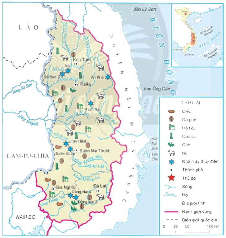 Vở bài tập Lịch Sử và Địa Lí lớp 4 Chân trời sáng tạo Bài 20: Dân cư và hoạt động sản xuất ở vùng Tây Nguyên