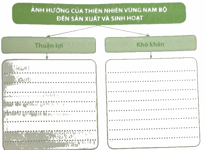 Vở bài tập Lịch Sử và Địa Lí lớp 4 Chân trời sáng tạo Bài 23: Thiên nhiên vùng Nam Bộ