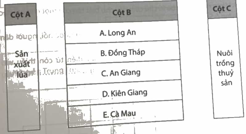 Vở bài tập Lịch Sử và Địa Lí lớp 4 Chân trời sáng tạo Bài 24: Dân cư và hoạt động sản xuất ở vùng Nam Bộ