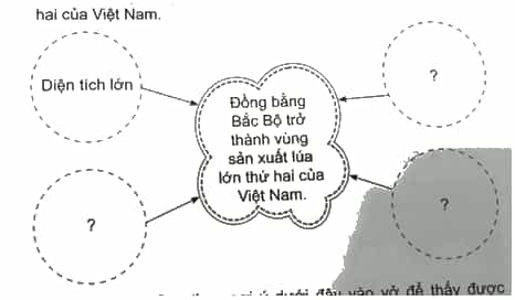 Vở bài tập Lịch Sử và Địa Lí lớp 4 Cánh diều Bài 7: Dân cư, hoạt động sản xuất và một số nét văn hóa ở vùng Đồng bằng Bắc Bộ