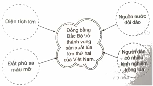 Vở bài tập Lịch Sử và Địa Lí lớp 4 Cánh diều Bài 7: Dân cư, hoạt động sản xuất và một số nét văn hóa ở vùng Đồng bằng Bắc Bộ