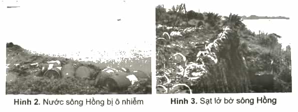 Vở bài tập Lịch Sử và Địa Lí lớp 4 Cánh diều Bài 8: Sông Hồng và văn minh sông Hồng