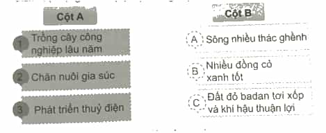 Vở bài tập Lịch Sử và Địa Lí lớp 4 Cánh diều Bài 16: Dân cư, hoạt động sản xuất và một số nét văn hóa ở vùng Tây Nguyên