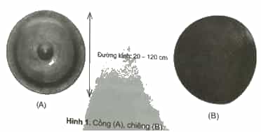 Vở bài tập Lịch Sử và Địa Lí lớp 4 Cánh diều Bài 17: Lễ hội Cồng chiêng Tây Nguyên