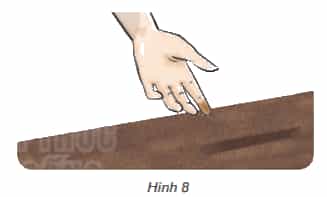 Khoa học lớp 4 Kết nối tri thức Bài 4: Không khí có ở đâu? Tính chất và thành phần của không khí