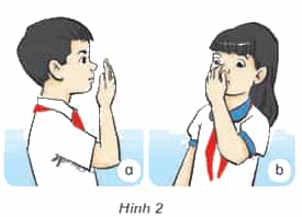 Khoa học lớp 4 Kết nối tri thức Bài 5: Vai trò của không khí và bảo vệ bầu không khí trong lành