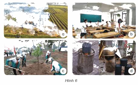 Khoa học lớp 4 Kết nối tri thức Bài 5: Vai trò của không khí và bảo vệ bầu không khí trong lành