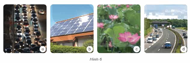 Khoa học lớp 4 Kết nối tri thức Bài 9: Vai trò của ánh sáng