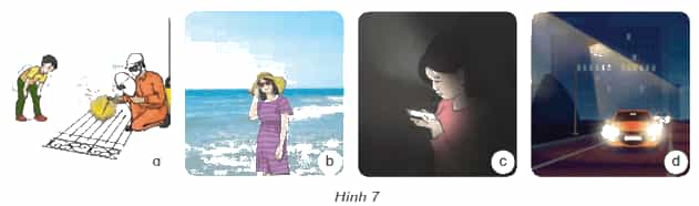 Khoa học lớp 4 Kết nối tri thức Bài 9: Vai trò của ánh sáng