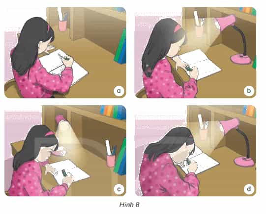 Khoa học lớp 4 Kết nối tri thức Bài 9: Vai trò của ánh sáng