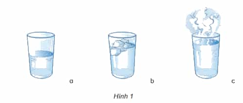 Khoa học lớp 4 Kết nối tri thức Bài 12: Nhiệt độ và sự truyền nhiệt