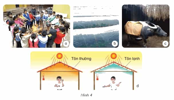 Khoa học lớp 4 Kết nối tri thức Bài 13: Vật dẫn nhiệt tốt, vật dẫn nhiệt kém