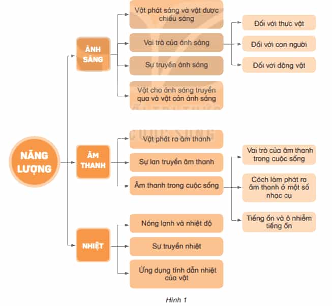 Khoa học lớp 4 Kết nối tri thức Bài 14: Ôn tập chủ đề năng lượng