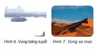 Khoa học lớp 4 Kết nối tri thức Bài 15: Thực vật cần gì để sống