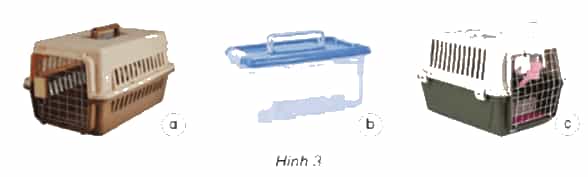 Khoa học lớp 4 Kết nối tri thức Bài 16: Động vật cần gì để sống?