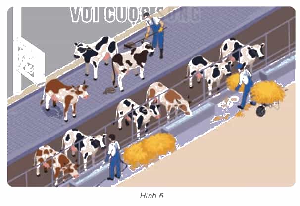 Khoa học lớp 4 Kết nối tri thức Bài 16: Động vật cần gì để sống?