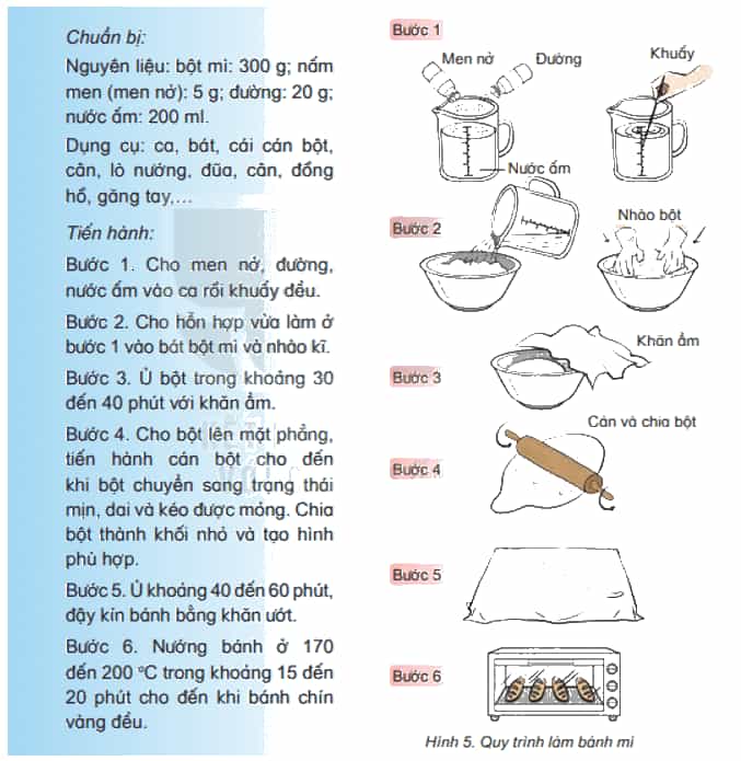 Khoa học lớp 4 Kết nối tri thức Bài 20: Nấm ăn và nấm trong chế biến thực phẩm