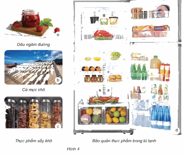 Bài 21: Nấm gây hỏng thực phẩm và nấm độc