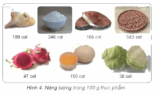 Khoa học lớp 4 Kết nối tri thức Bài 23: Vai trò của chất dinh dưỡng với cơ thể
