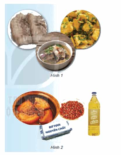 Khoa học lớp 4 Kết nối tri thức Bài 24: Chế độ ăn uống cân bằng