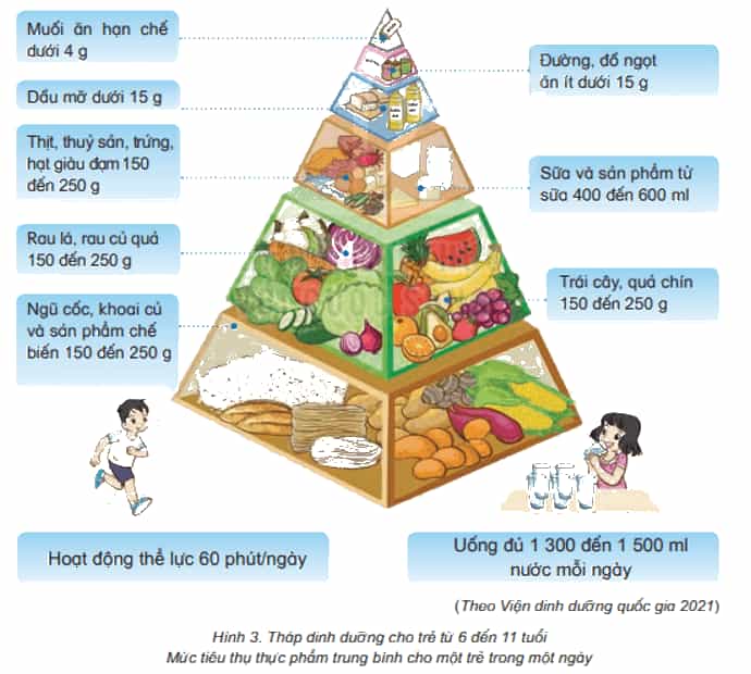 Khoa học lớp 4 Kết nối tri thức Bài 24: Chế độ ăn uống cân bằng