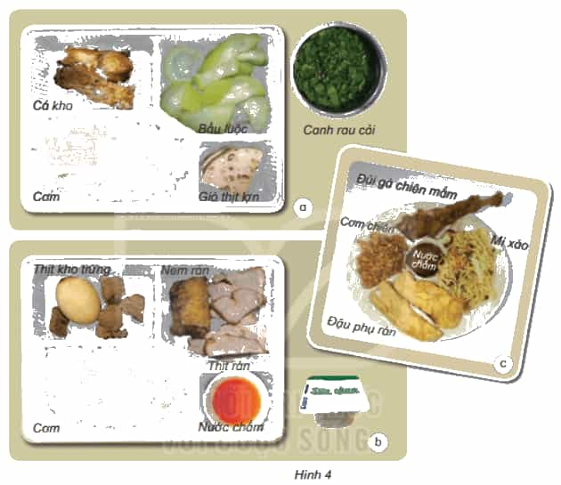 Khoa học lớp 4 Kết nối tri thức Bài 24: Chế độ ăn uống cân bằng