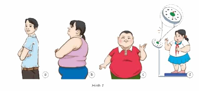 Khoa học lớp 4 Kết nối tri thức Bài 25: Một số bệnh liên quan đến dinh dưỡng