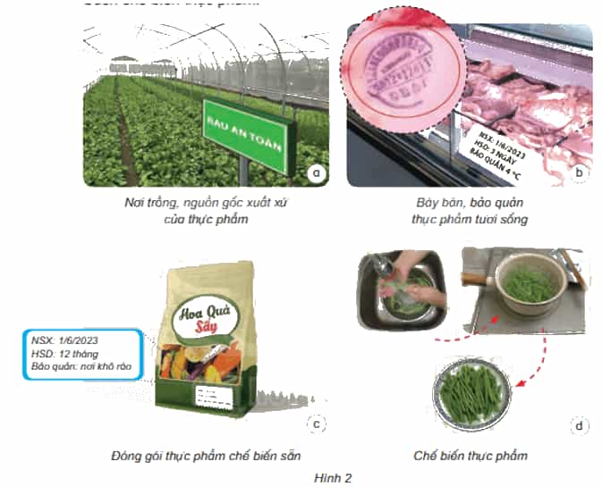 Khoa học lớp 4 Kết nối tri thức Bài 26: Thực phẩm an toàn