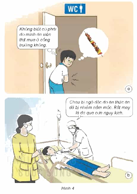 Khoa học lớp 4 Kết nối tri thức Bài 26: Thực phẩm an toàn