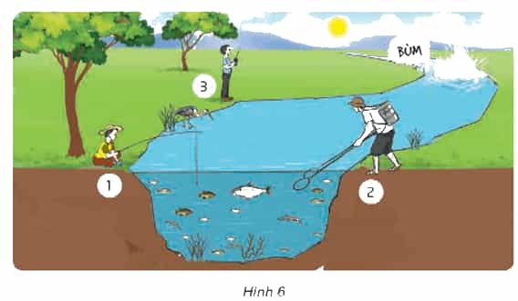 Khoa học lớp 4 Kết nối tri thức Bài 30: Vai trò của thực vật trong chuỗi thức ăn