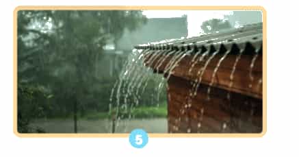 Khoa học lớp 4 Chân trời sáng tạo Bài 1: Một số tính chất và vai trò của nước