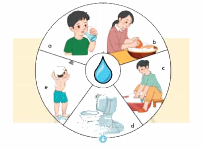Khoa học lớp 4 Chân trời sáng tạo Bài 1: Một số tính chất và vai trò của nước