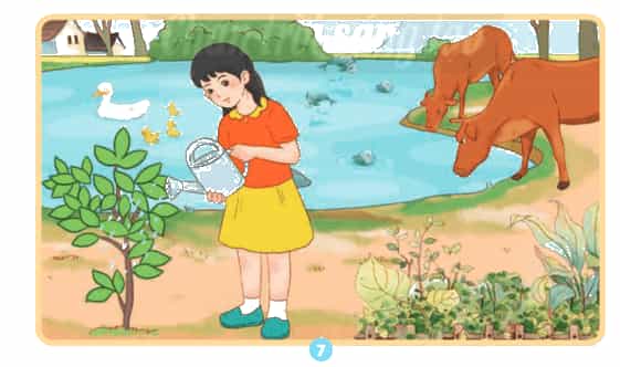 Khoa học lớp 4 Chân trời sáng tạo Bài 1: Một số tính chất và vai trò của nước