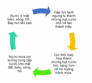 Khoa học lớp 4 Chân trời sáng tạo Bài 2: Sự chuyển thể của nước
