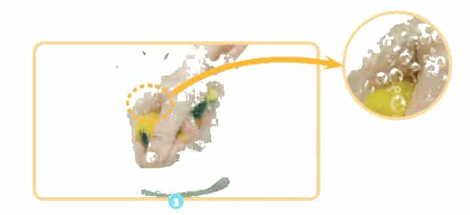 Khoa học lớp 4 Chân trời sáng tạo Bài 4: Thành phần và tính chất của không khí