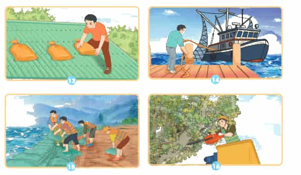 Khoa học lớp 4 Chân trời sáng tạo Bài 5: Gió, bão
