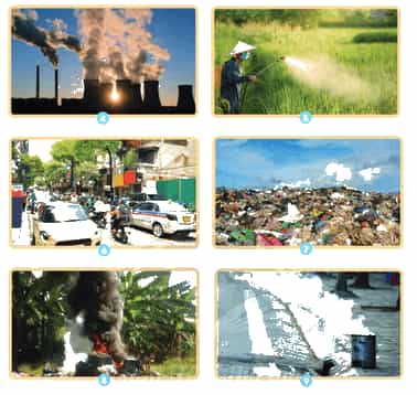 Khoa học lớp 4 trang 29 Chân trời sáng tạo