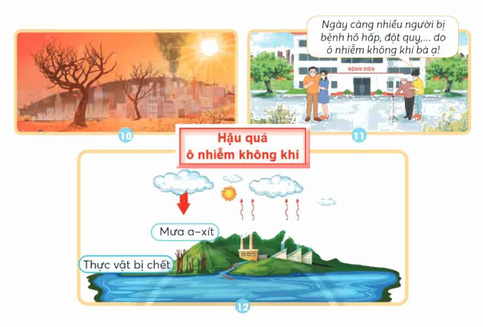 Khoa học lớp 4 trang 31 Chân trời sáng tạo