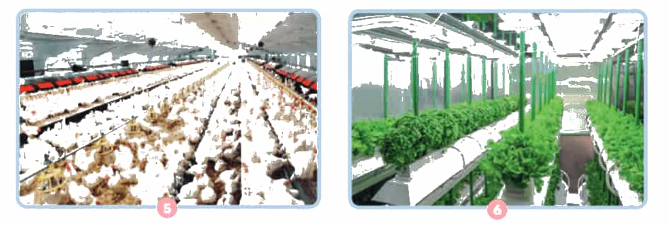 Khoa học lớp 4 trang 39 Chân trời sáng tạo