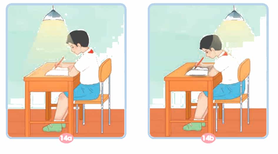 Khoa học lớp 4 trang 42 Chân trời sáng tạo