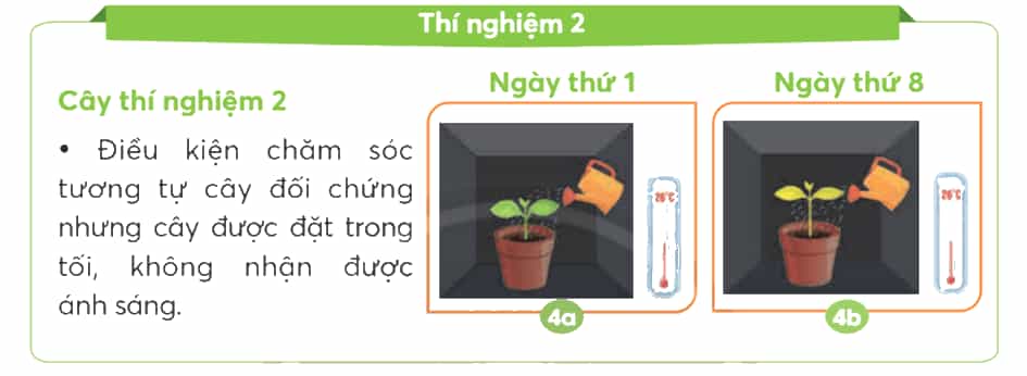 Khoa học lớp 4 trang 58 Chân trời sáng tạo