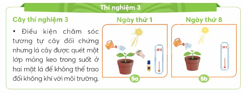 Khoa học lớp 4 trang 58 Chân trời sáng tạo