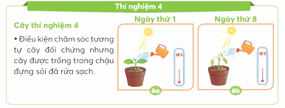 Khoa học lớp 4 trang 58 Chân trời sáng tạo