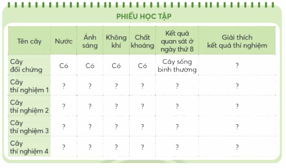 Khoa học lớp 4 trang 58 Chân trời sáng tạo
