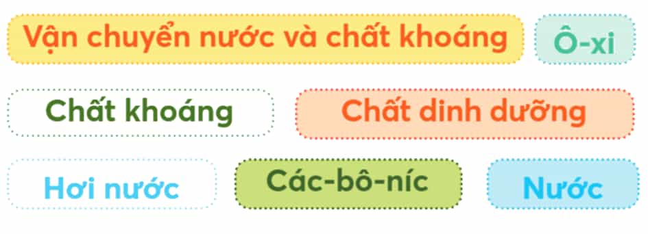 Khoa học lớp 4 trang 62 Chân trời sáng tạo