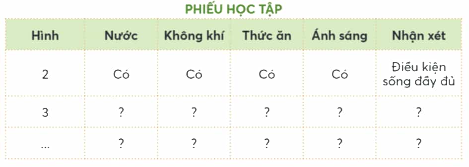 Khoa học lớp 4 trang 63 Chân trời sáng tạo