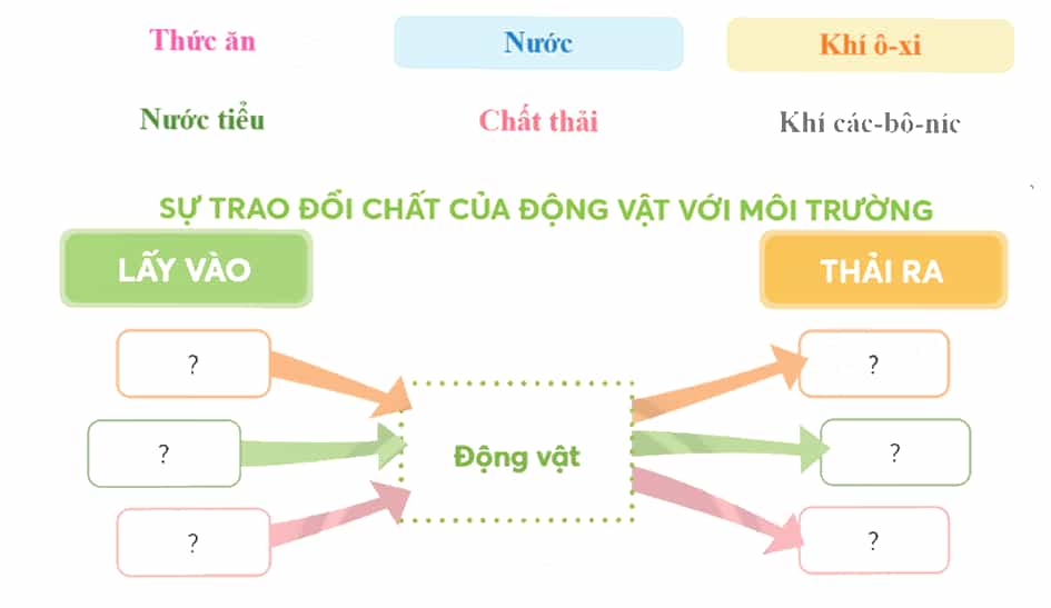 Khoa học lớp 4 trang 67 Chân trời sáng tạo